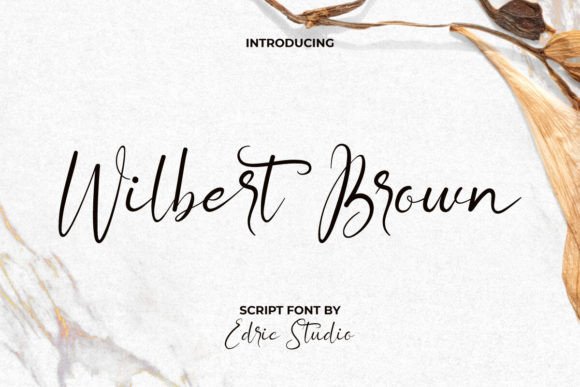 Download Wilbert Brown - Brown Collection